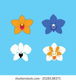 This Shenzhen Nongke Orchid Flower vector art illustration features the rare and exquisite beauty of the flower, perfect for digital products, prints, and botanical design projects.