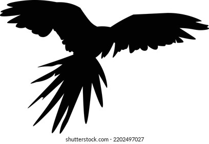 Esta es la silueta de un solo vuelo de Macaw