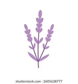 This simple, cartoon-style illustration depicts three lavender sprigs against a plain white background.