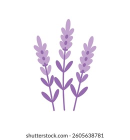 This simple, cartoon-style illustration depicts three lavender sprigs against a plain white background.