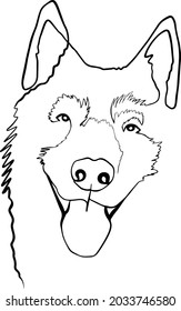 This is a simple and clean illustration with one contnious line of a husky dog