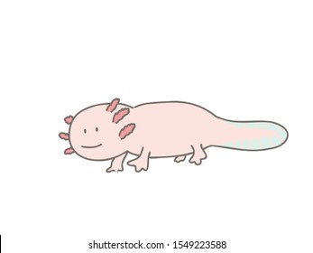 This is a simple and cute illustration of axolotl.