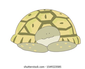 This is a simple and cute illustration of Eurotestudo hermanni.