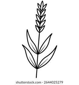 Esta ilustração vetor simples, elegante, preto e branco apresenta um esboço estilizado de uma planta de trigo ou cevada.