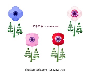 Esta es una simple ilustración de la anémona.