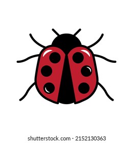 this is a simple illustration of a ladybug