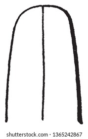 This is a simple leaf with rounded tip known as Obtuse, vintage line drawing or engraving illustration.