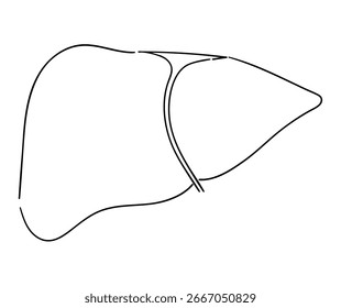 Esta é uma simples ilustração do fígado.