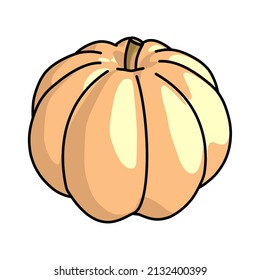 This is a simple pumpkin fruit cartoon vector, with a flat outline and shading