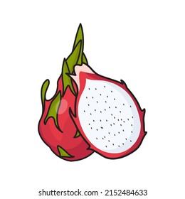 this is a simple vector illustration of Dragon fruit