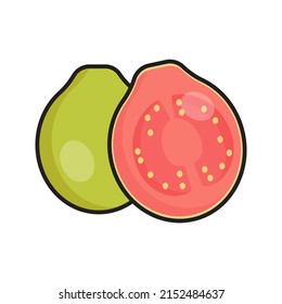 this is a simple vector illustration of guava