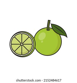 this is a simple vector illustration of lime