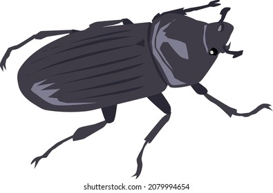 This is a Single-horn rhinoceros beetle , it's a kind of beetle.
