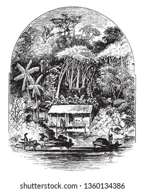 In this sketch one house is situated at the edge of the river along with Rubber tree. Some people are standing in front of the house, vintage line drawing or engraving illustration.