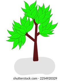 This is a sketch of a tree
