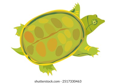This is a soft-shelled turtle illustration