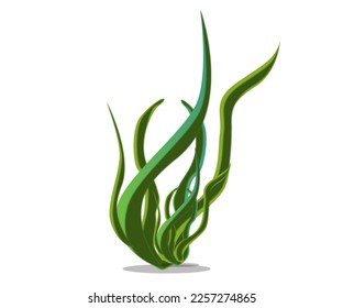 This is spirulina grasses leaves on white background