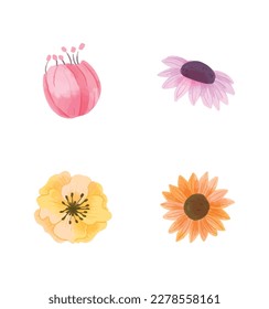 This is a spring flowers watercolor vector collection.