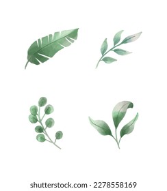 Esta es una colección vectorial de hojas de primavera.