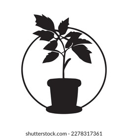 This stock image shows a flower in black and white. The flower has many details and curves that create a feeling of tenderness and grace. The petals of the flower seem very thin and transparent.