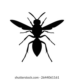 este impressionante vetor EPS com uma vespa preta ou silhueta de hornet. Ideal para temas de insetos, projetos da natureza e gráficos de advertência ou animais perigosos.