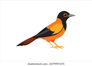 This stunning vector artwork illustration features a beautiful Oriole bird. Rendered with precision and vibrant colors, the illustration captures the Oriole's striking appearance and delicate details.