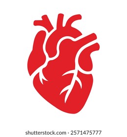  This is a stylized graphic representation of the human heart. The image highlights the main parts of the heart along with the basic layout of arteries and veins, using a simple red and white design. 