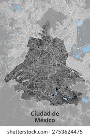 This is a stylized map of Mexico City, rendered in shades of gray and black, with light blue accents highlighting bodies of water. The intricate network of streets forms the dominant pattern across the urban landscape. The text 'Ciudad de México' is prominently displayed at the bottom center of the image. The map depicts a dense urban area with surrounding natural or less developed regions.