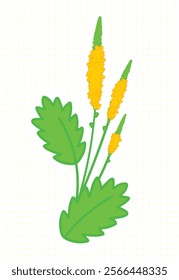 This stylized plant illustration showcases tall yellow flower spikes that rise gracefully above vibrant green, serrated leaves.