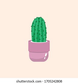 This is succulent plant cactus icon