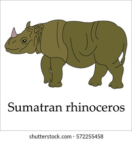 This is a Sumatran rhinoceros and letters on a white background.