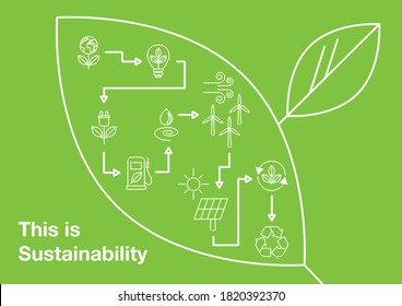 This is Sustainability - Infographic Linear Style
