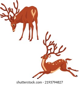 this is a swamp deer Animals Vector