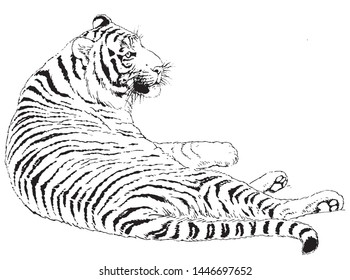 This is a tiger line drawing illustration