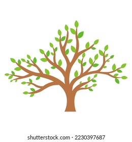 This is a tree isolated on a white background.