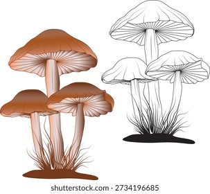 This trio of plump mushrooms botanical vector art features three rounded, full-capped fungi clustered together in a charming, earthy composition. The smooth, voluptuous shapes with subtle stem details evoke forest whimsy and abundance, rendered in clean line art perfect for patterns, tattoos, or autumn decor. Their balanced grouping adds visual harmony for projects celebrating nature's quirky beauty.



