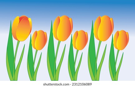 Das ist das Blumenmuster der Tube.