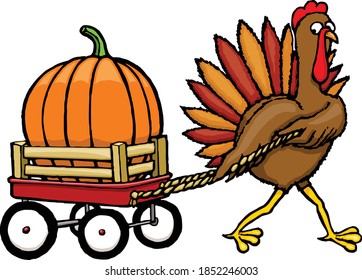 This Turkey is bringing the pumpkin to the big thanksgiving dinner.  This clip art piece features a autumn turkey pulling  a large pumpkin in a red wheel barrow. 