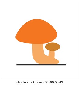 This is two brown and orange mushrooms
