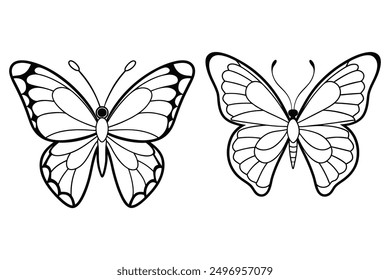 This is two butterfly icon vector with illustration.