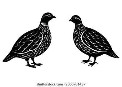 This is a two grey partridge vector with illustration