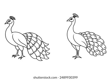 This is a two peacock vector lineart work with illustration.