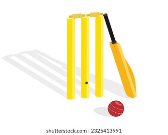 This type of vector illustration can be used in a variety of ways, such as:

As a decorative element in a web design or print design.
As an educational tool to teach people about the rules of cricket.