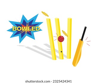 This type of vector illustration can be used in a variety of ways, such as:

As a decorative element in a web design or print design.
As an educational tool to teach people about the rules of cricket.