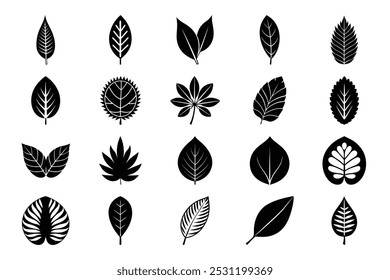 This variety of leaf illustrations bundle offers botanical designs for nature and eco-friendly projects. Perfect for environmental branding, decor, and sustainability-themed design work.