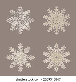this is a 
Various winter snowflakes