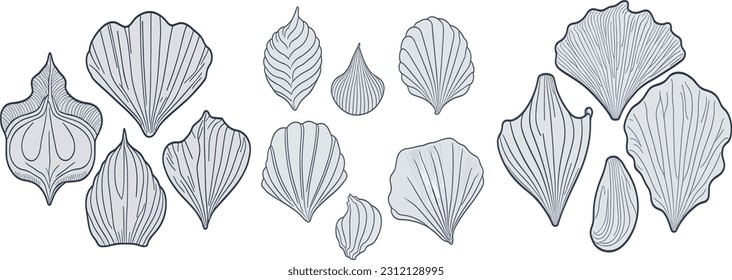 This vector animation features delightful and intricate seashells, evoking the tranquility of the ocean and coastal charm.
