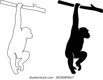 This vector art displays an ape hanging from a branch in two styles: a solid black silhouette and a clear white outline, suitable for stencils or logos.