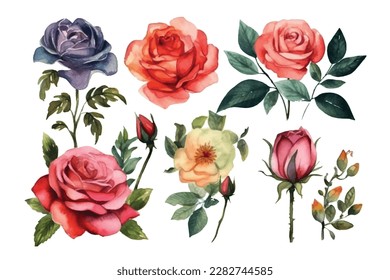 This vector art illustration collection showcases the exquisite beauty of roses, focusing on their intricate parts such as leaves, stems, and petals. Perfect for adding a touch of elegance.