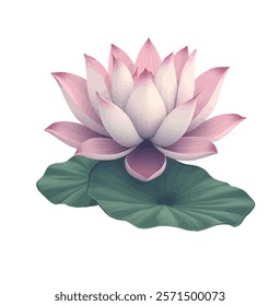 This vector art illustration showcases the serene beauty of a lotus flower in full bloom. The petals, in soft shades of pink, white, and light purple, are gracefully layered.